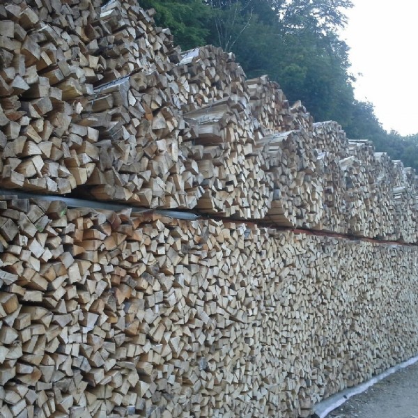 aufgestapeltes Brennholz in Klosterneuburg im Raum