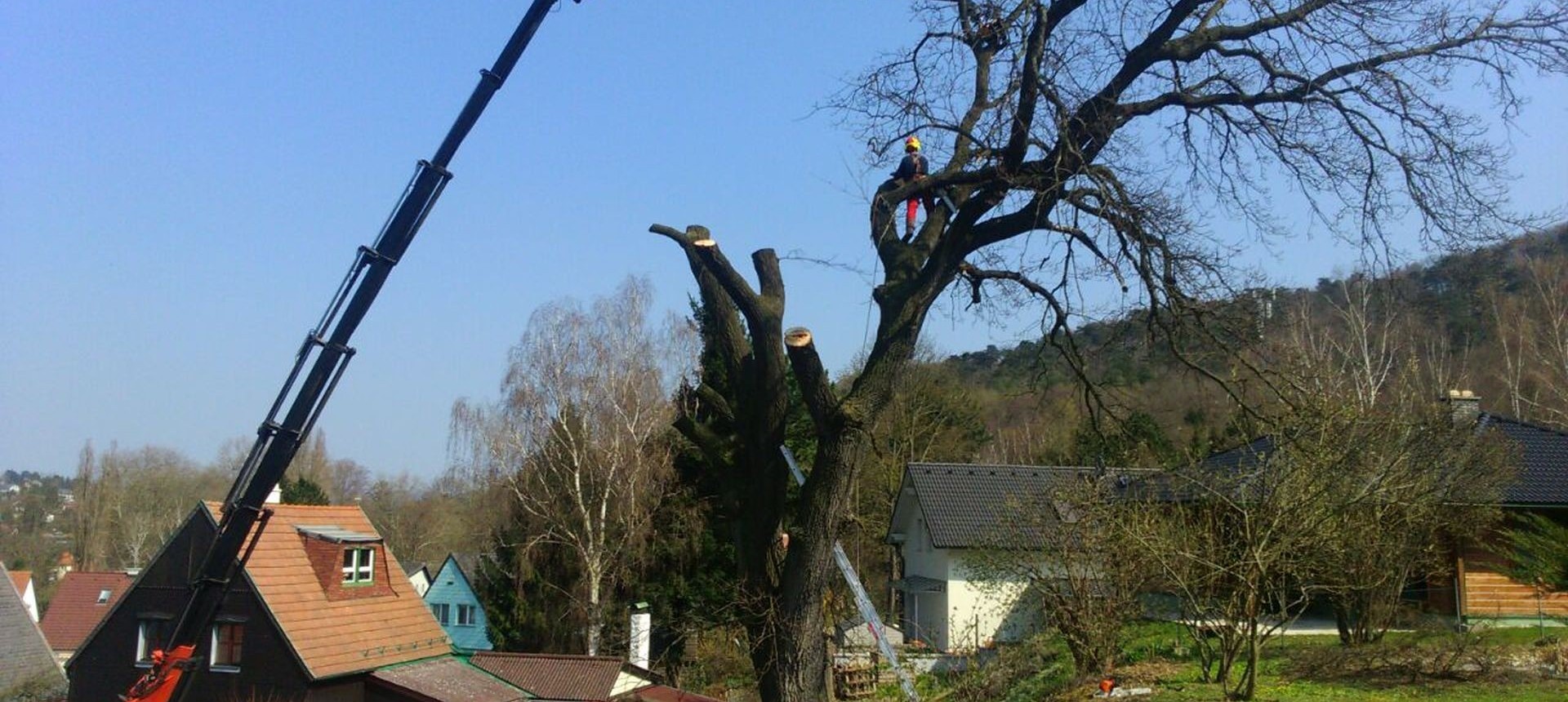 Baum wird mit Kran abtransportiert
