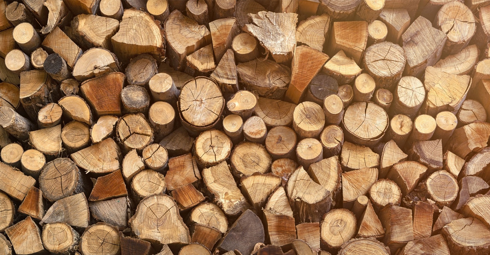 Brennholz kaufen, Brennholz Selbstabholung, Nieder